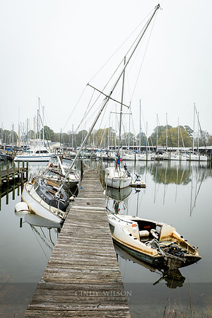 Swamped, Deltaville