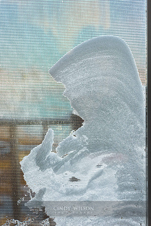 Snow Monk