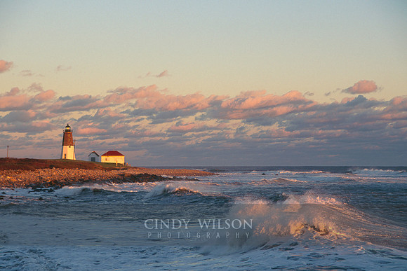 Pink Wave, Point Judith