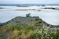 Anchored, Twillingate