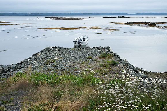Anchored, Twillingate