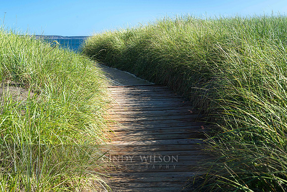 Beach Path to Herring Beach