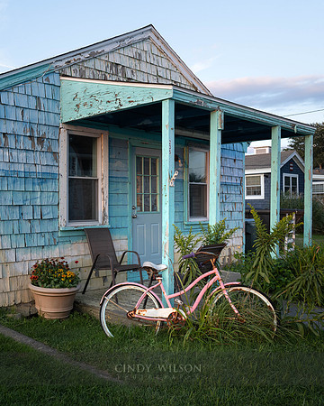 The Pink Bicycle