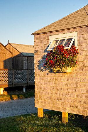 Briggs Cottage Flowerbox, Little Compton