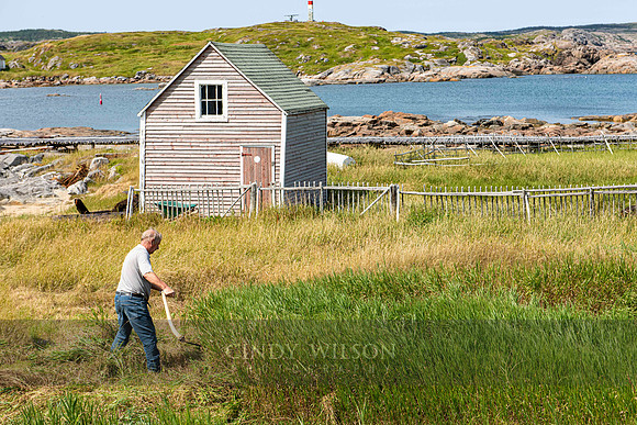 Scything the Field, Greene's Point