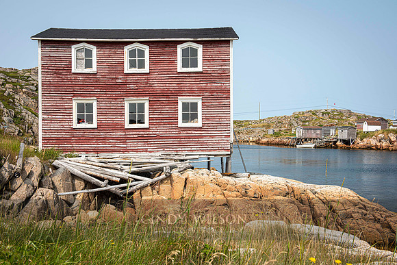 Stage with Six Windows, Joe Batt's Arm