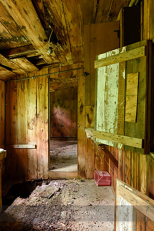 _DSC0012