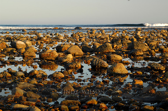 Low Tide, Matunuck