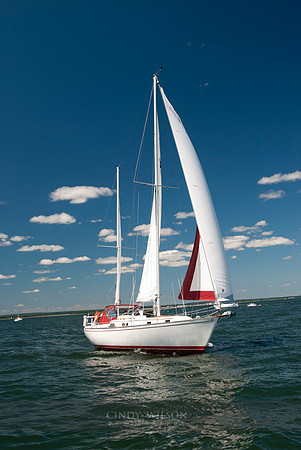 Safe Sea member boat photos