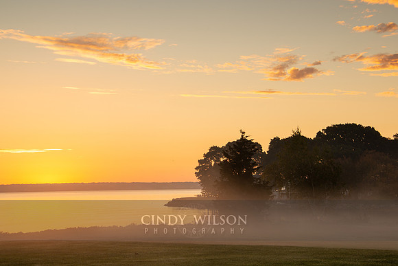 Ground Fog, Duck Cove