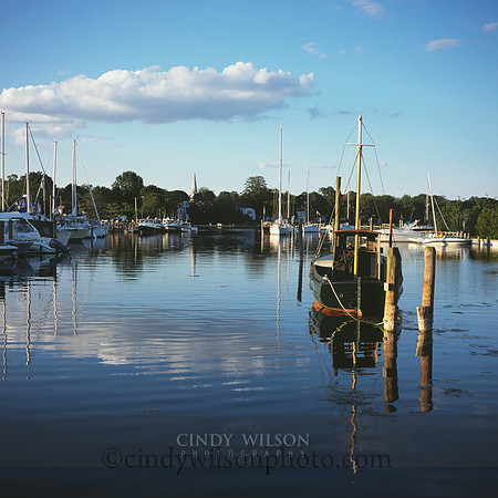 Wickford Blue