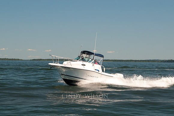 Safe Sea member boat photos