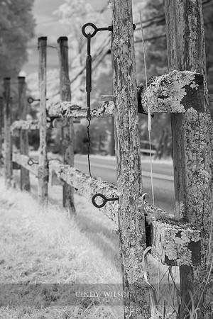 Fencing, Preston City