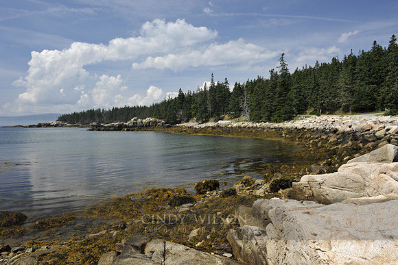 Schoodic Point, ME