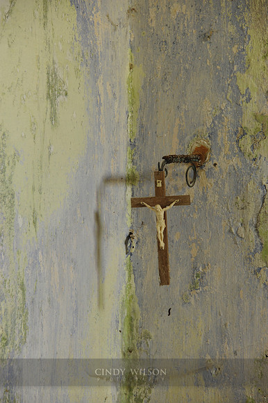 _DSC0130 copy