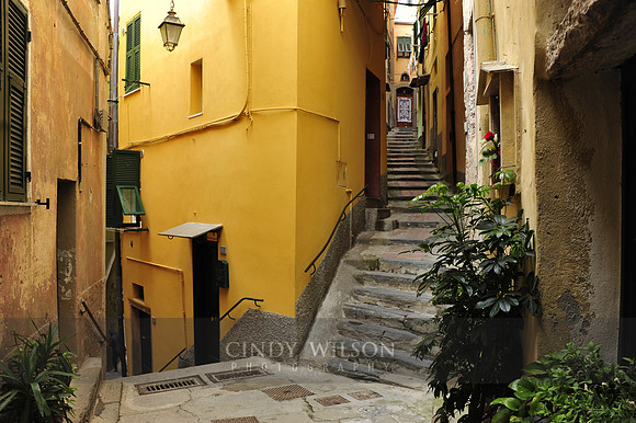 _DSC0060 copy