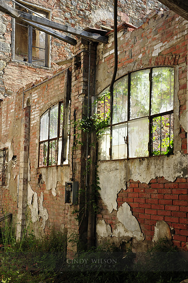 _DSC0361 copy