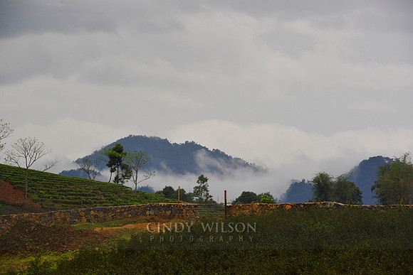 _CHW0585 copy