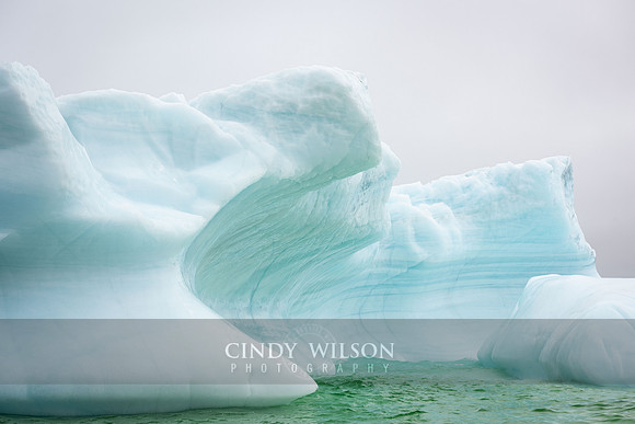 Iceberg Twillingate
