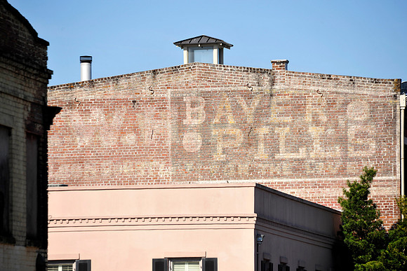 Palimpsest, Savannah