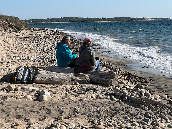 Block Island in Black and White 2023