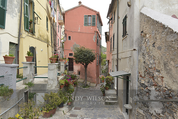 _CHW0532 copy