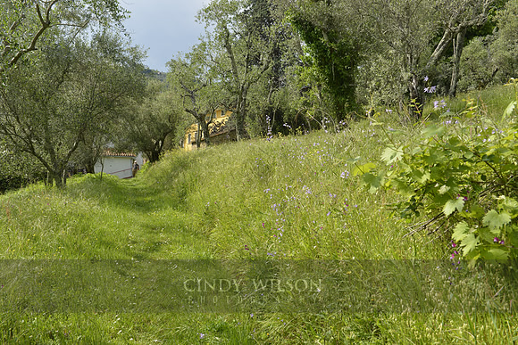_CHW0671 copy