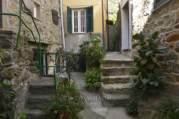 _CHW0378 copy