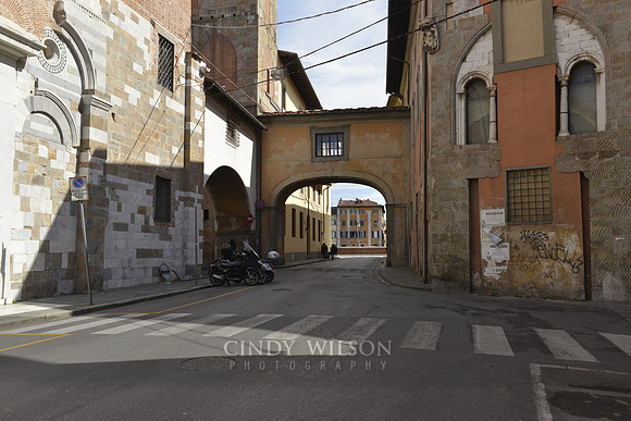 _CHW0565 copy
