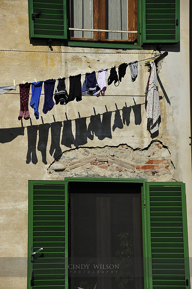 _DSC0346 copy