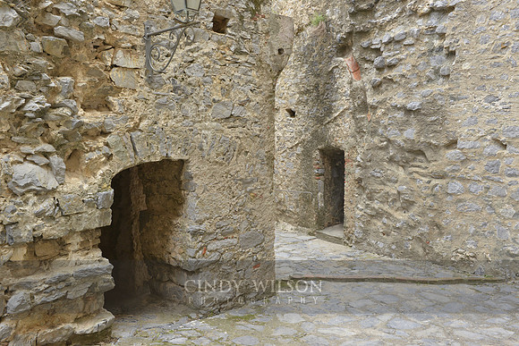 _CHW0517 copy