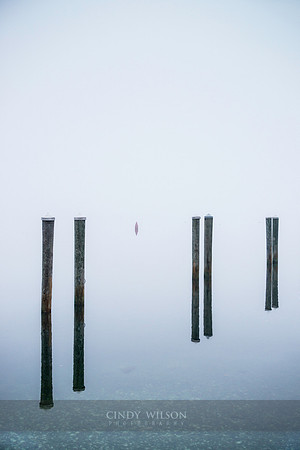 Naked Pilings, Wickford