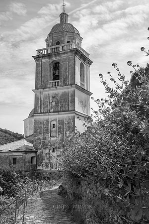 _CHW0474bw