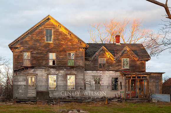 Payne Farm 2008