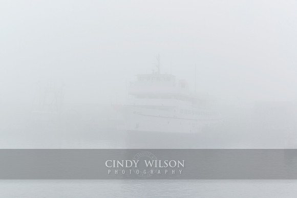 Fogged In, Point Judith