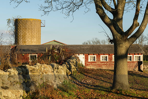 Whaley Farm