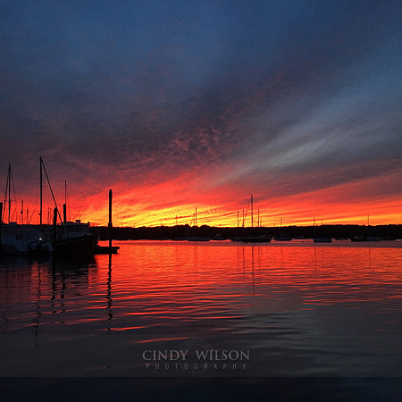 Nature's Nature's Fireworks, Fourth of July, Wickford RI Instagram