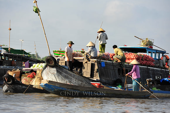 _DSC0948