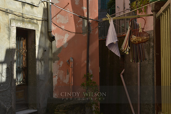 _CHW0271 copy