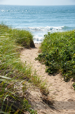 Path to the Sea, West Side, Block Island