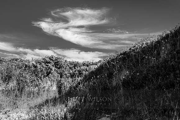 Angel Cloud