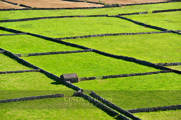 Fields, Terciera