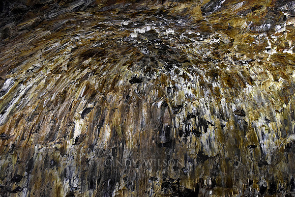 _DSC0373