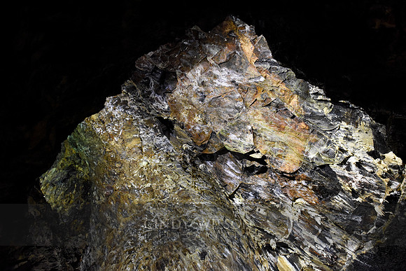 _DSC0378 copy
