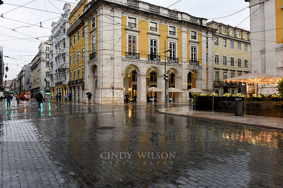 _DSC0458