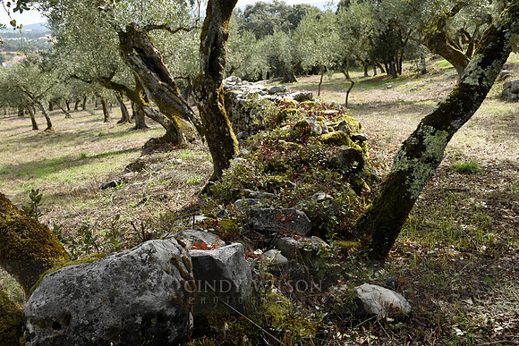 _DSC0480