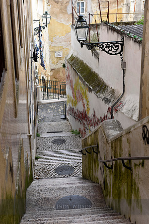 _DSC0536