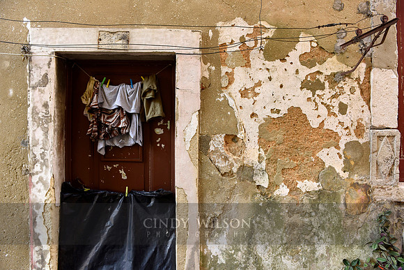 _DSC0590