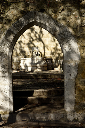 _DSC0595
