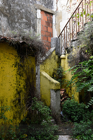 _DSC0653 copy